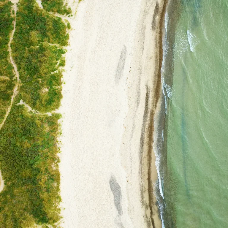 Dronevideo-og-fotos der viser udviklingen i Carlsberg projektet.