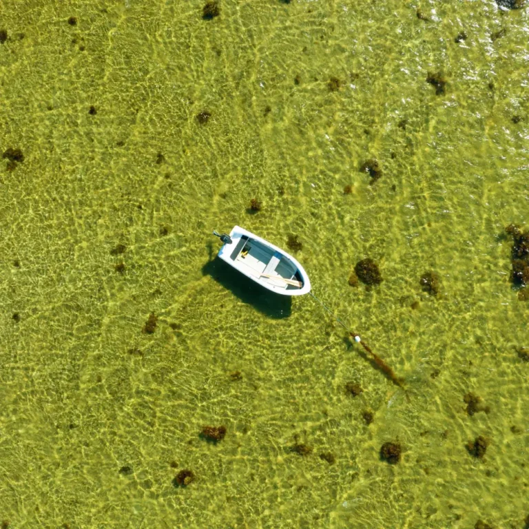 Dronefoto af en bad der sejler i vandet i Danmark.